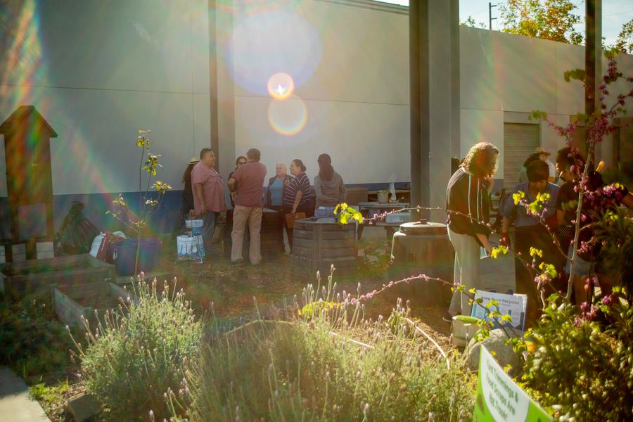 Golden-hour light over participants gathered at the composting demonstration site.