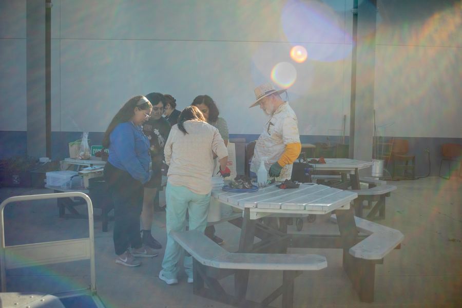 A facilitator leads a hands-on demonstration at a sunlit picnic table.