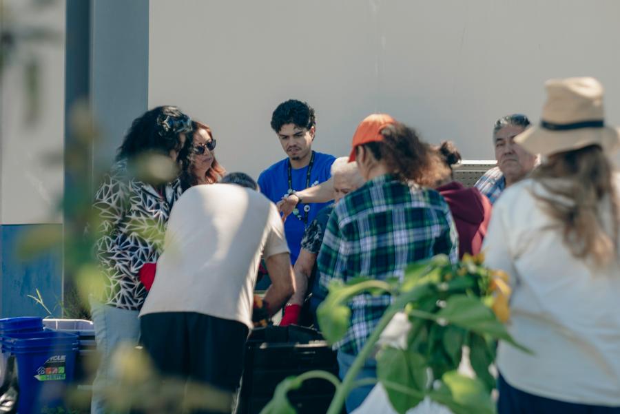 A facilitator walks participants through sorting materials.